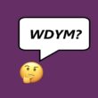WDYM Meaning in Chat_ From Text to Context